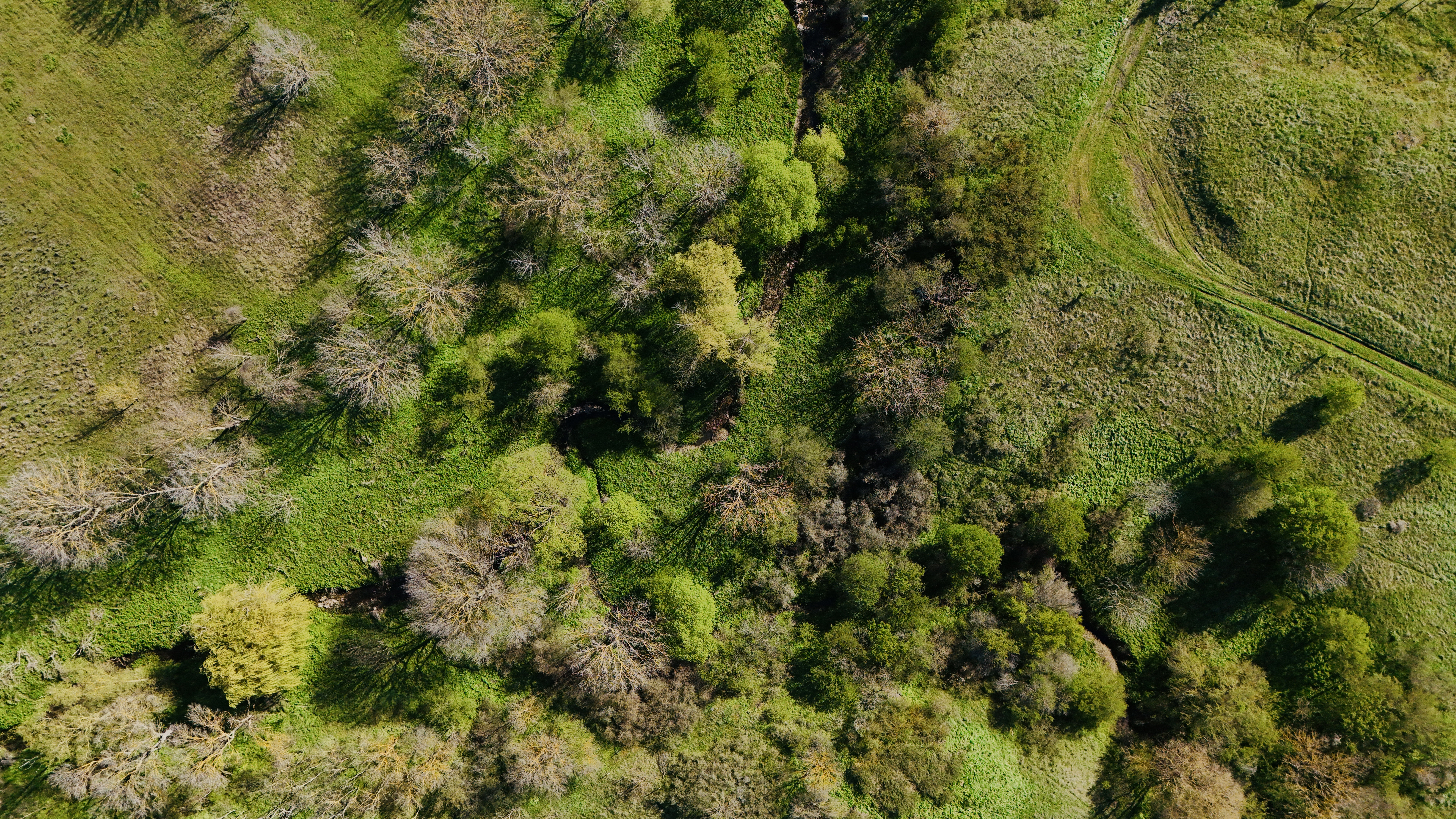 Bulgarische Landschaft